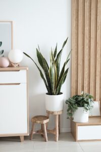 Rhinov : Service de décoration d’intérieur en ligne personnalisé