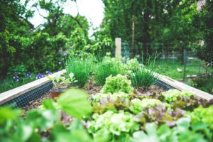 Décorer votre jardin en automne : idées simples et chaleureuses