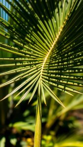 Les points essentiels pour bien comprendre ce sujet