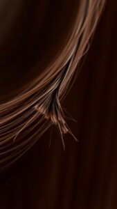 Split ender : l’outil révolutionnaire pour vos cheveux