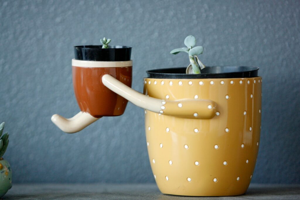 Cache-pot design : sublimer vos plantes avec style