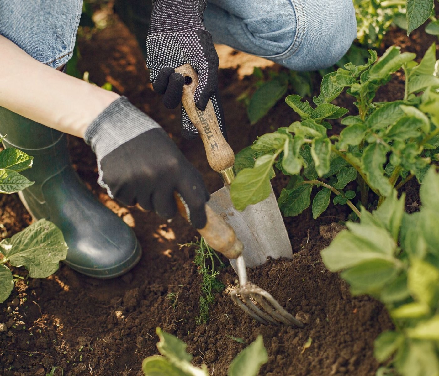 Grelinette : l'outil qui révolutionne votre potager 1 Grelinette : l'outil qui révolutionne votre potager